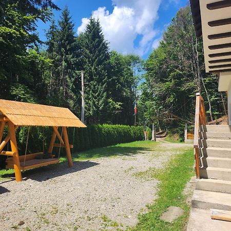 Cabana Valea Bradului Nucşoara Esterno foto