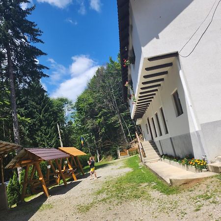 Cabana Valea Bradului Nucşoara Esterno foto