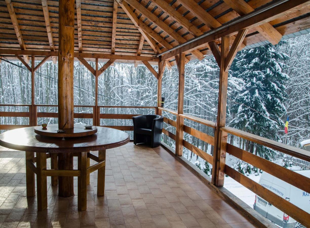 Cabana Valea Bradului Nucşoara Esterno foto