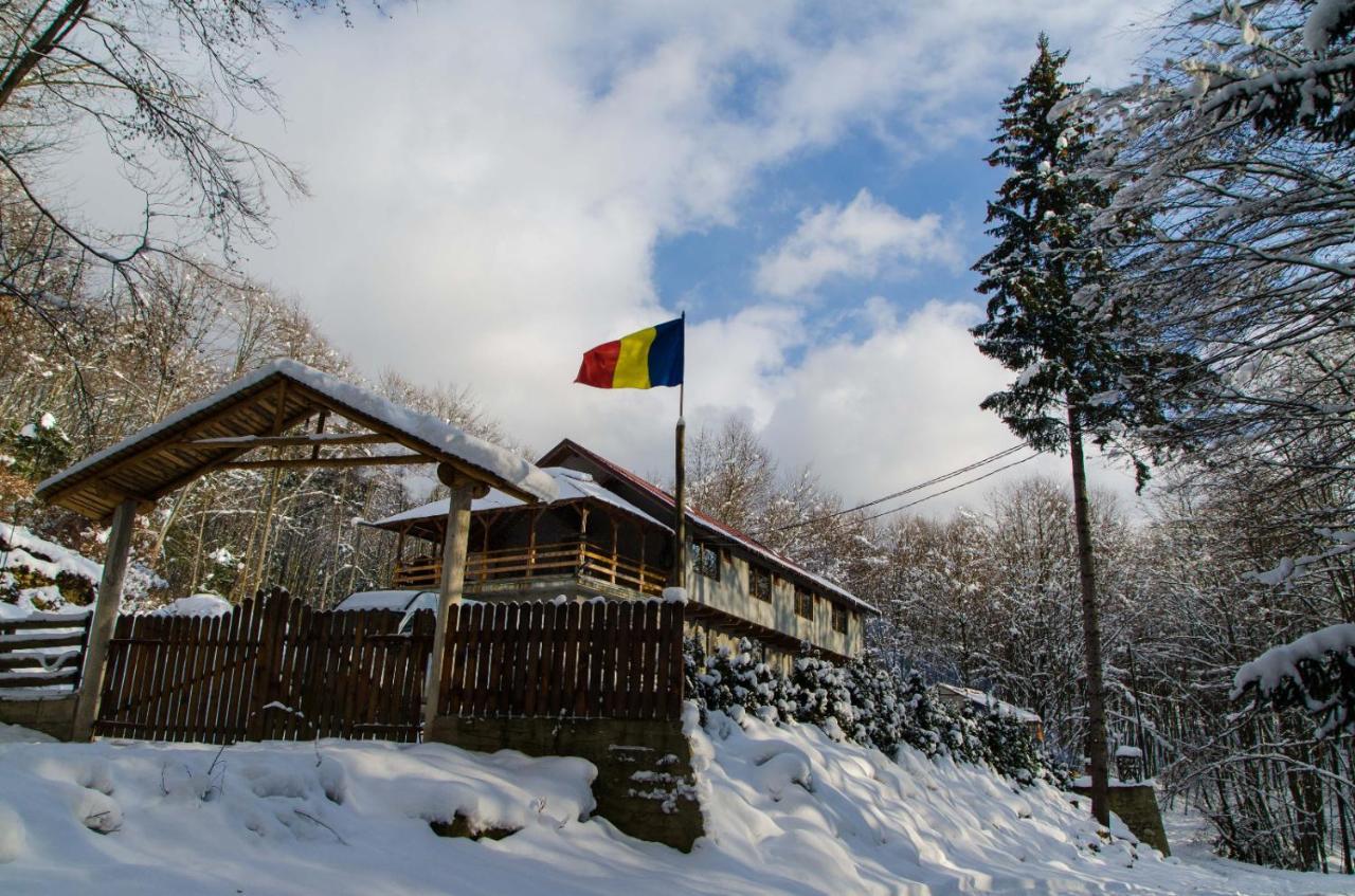Cabana Valea Bradului Nucşoara Esterno foto