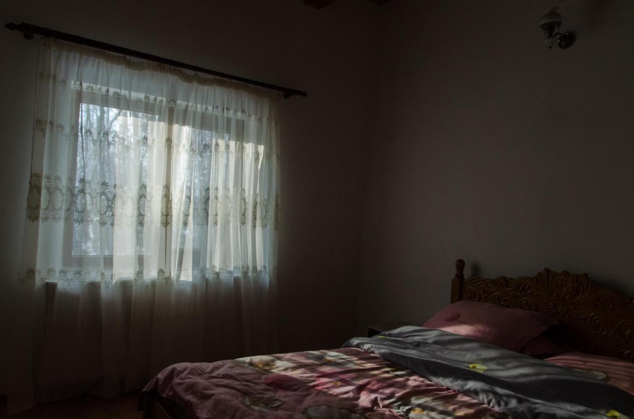 Cabana Valea Bradului Nucşoara Esterno foto