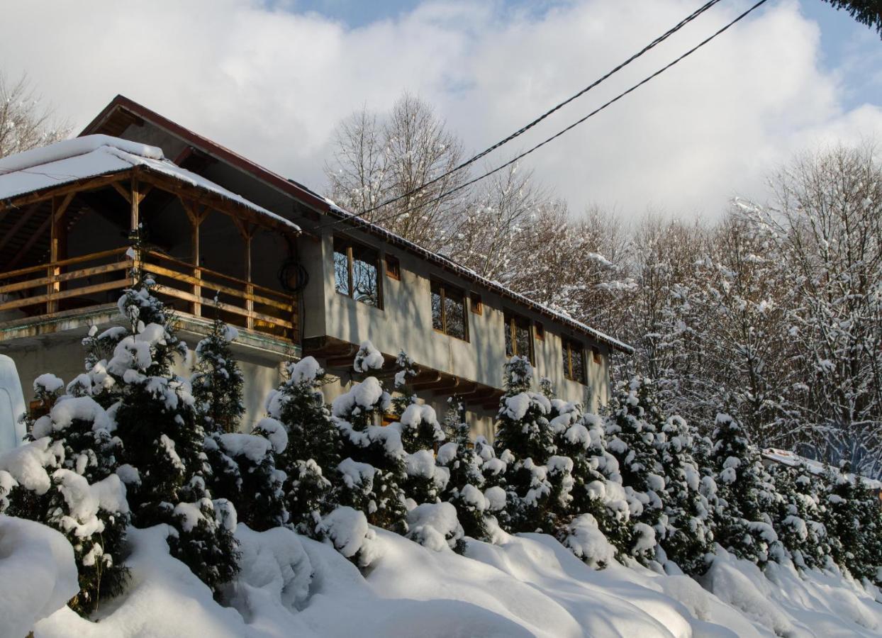 Cabana Valea Bradului Nucşoara Esterno foto