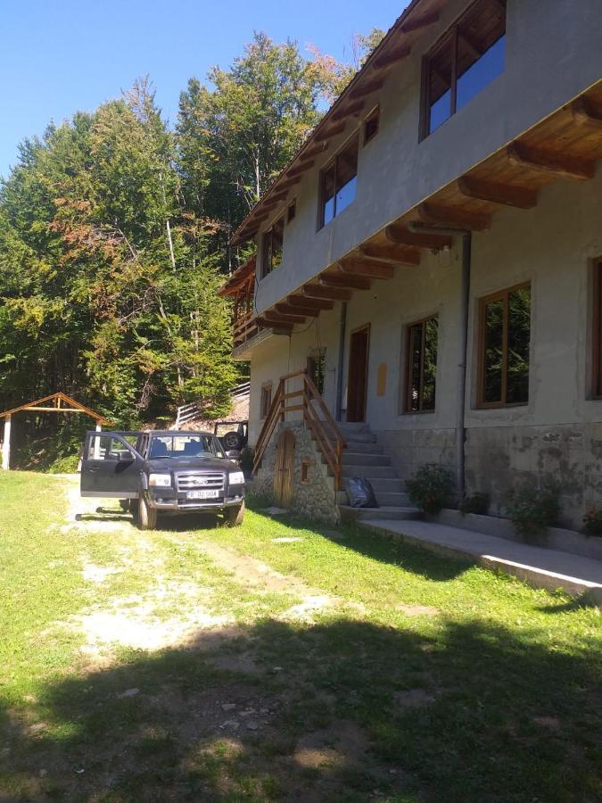 Cabana Valea Bradului Nucşoara Esterno foto