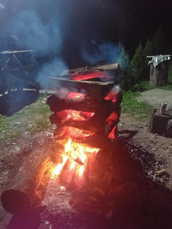 Cabana Valea Bradului Nucşoara Esterno foto