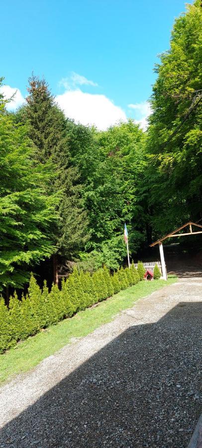 Cabana Valea Bradului Nucşoara Esterno foto