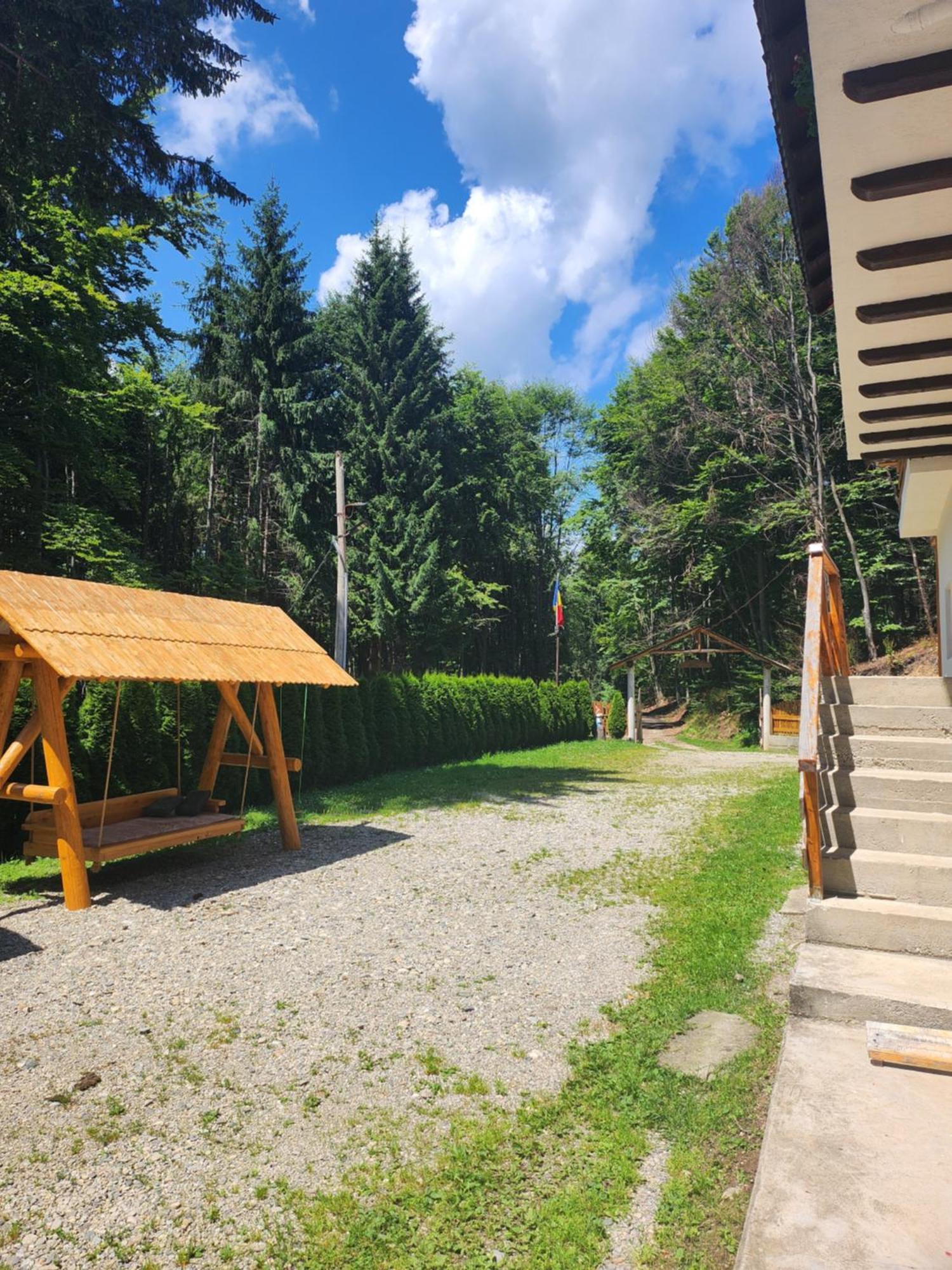Cabana Valea Bradului Nucşoara Esterno foto