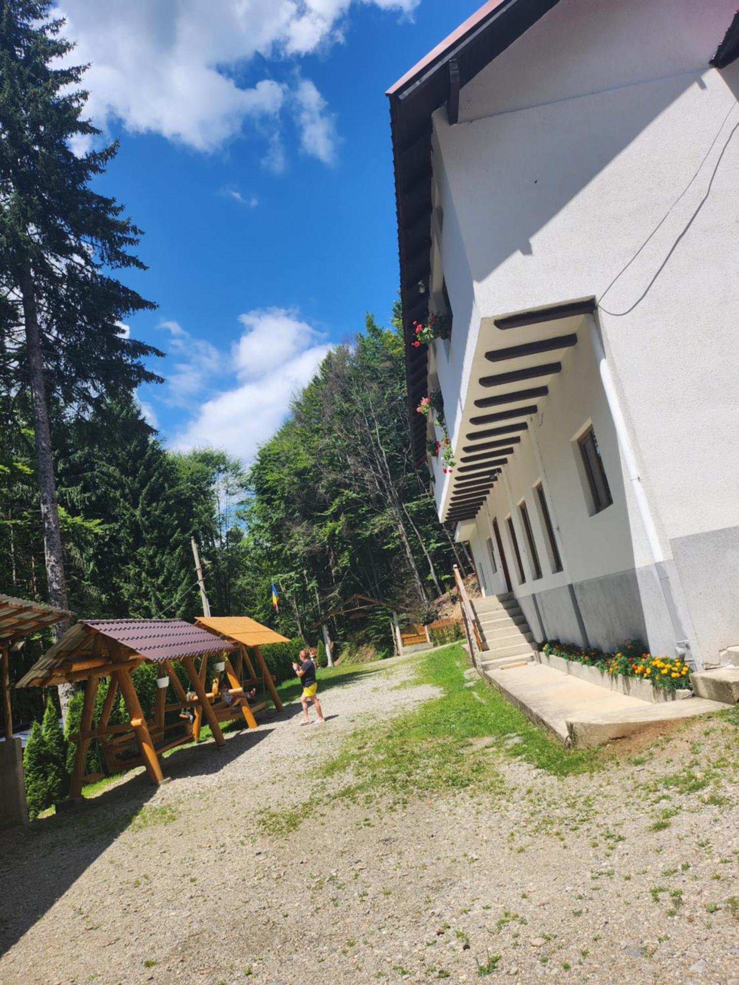 Cabana Valea Bradului Nucşoara Esterno foto