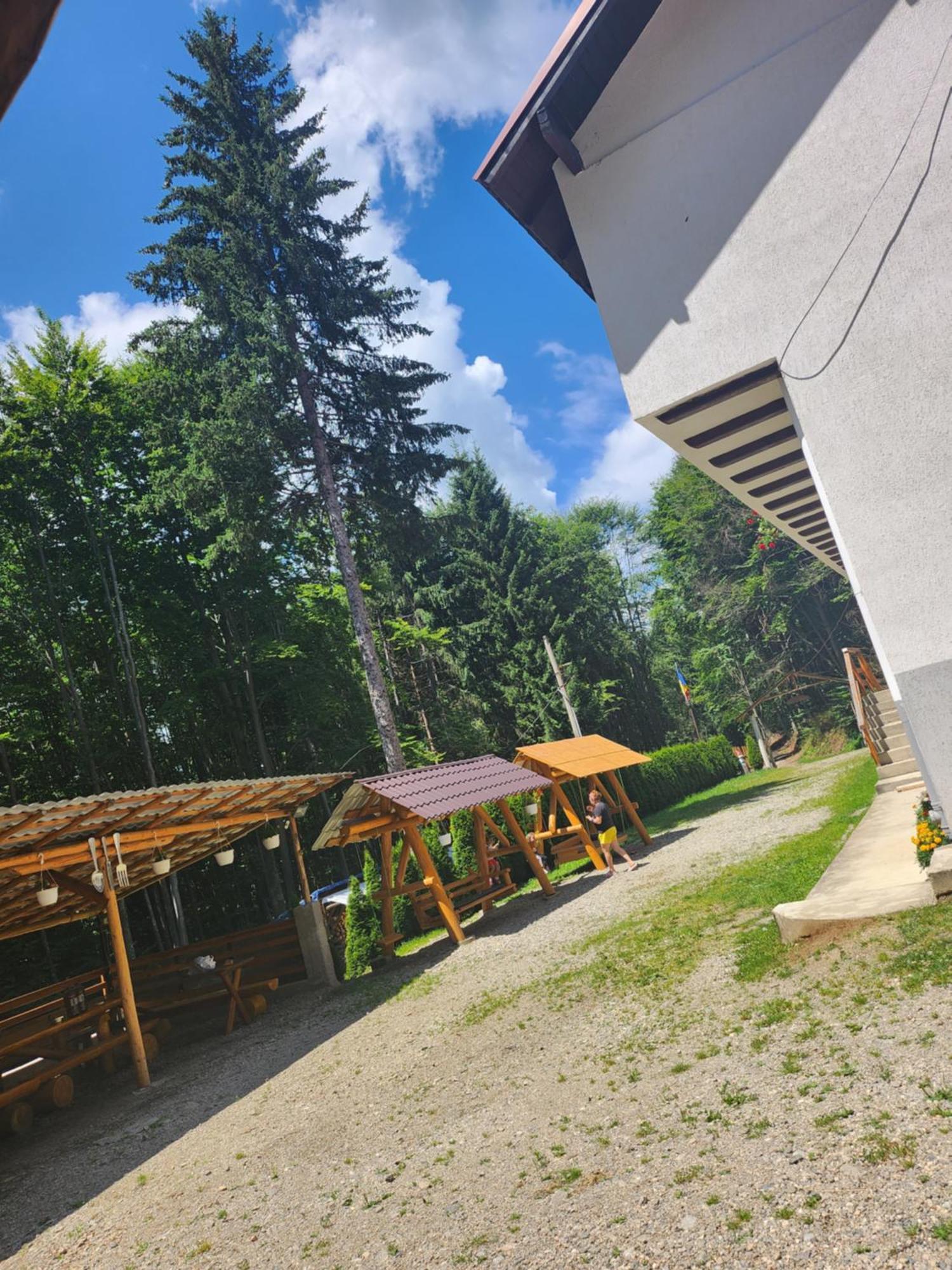 Cabana Valea Bradului Nucşoara Esterno foto